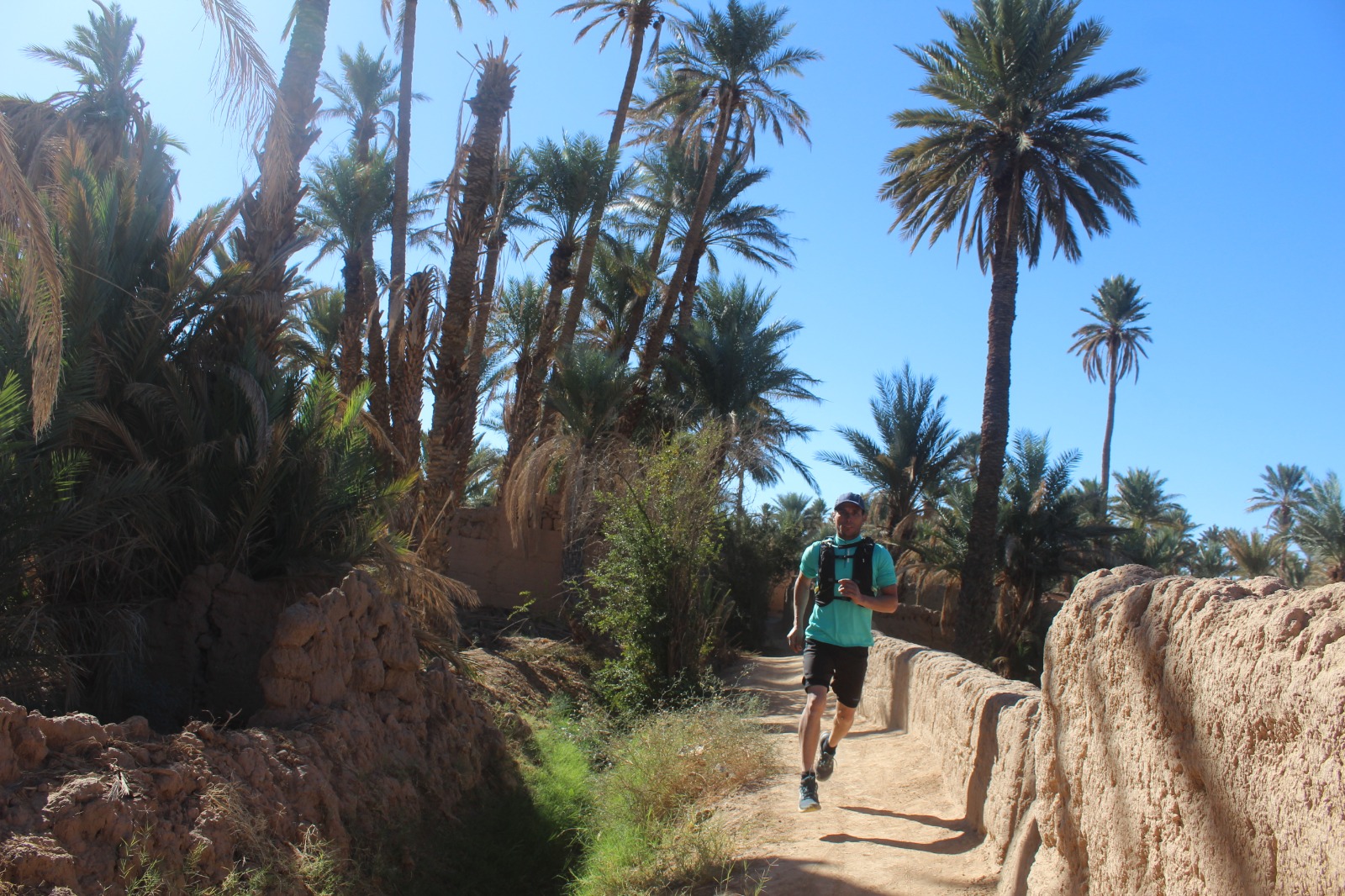 Course dans la palmeraie